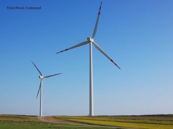 Foto: iStock / Lukaszcpl