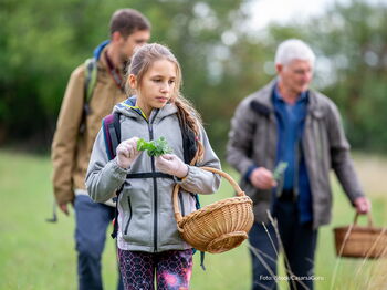 Vogelexkursion, Kräuterspaziergang, Pilzwanderung oder achtsamer Waldspaziergang - bei den Herbstangeboten der vhs ist die Auswahl groß. Foto: iStock/CasarsaGuru