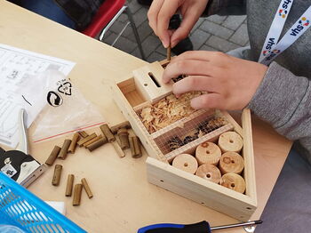 Insektenhotels basteln am Nachhaltigkeitstag der VHS