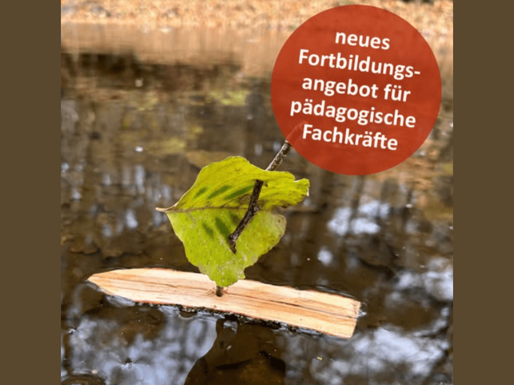 Die Fortbildungen für Nachhaltige Entwicklung (BNE) werden vom Naturpädagogen und Grundschullehrer Dirk Heinen direkt in der Natur durchgeführt. Foto: Dirk Heinen