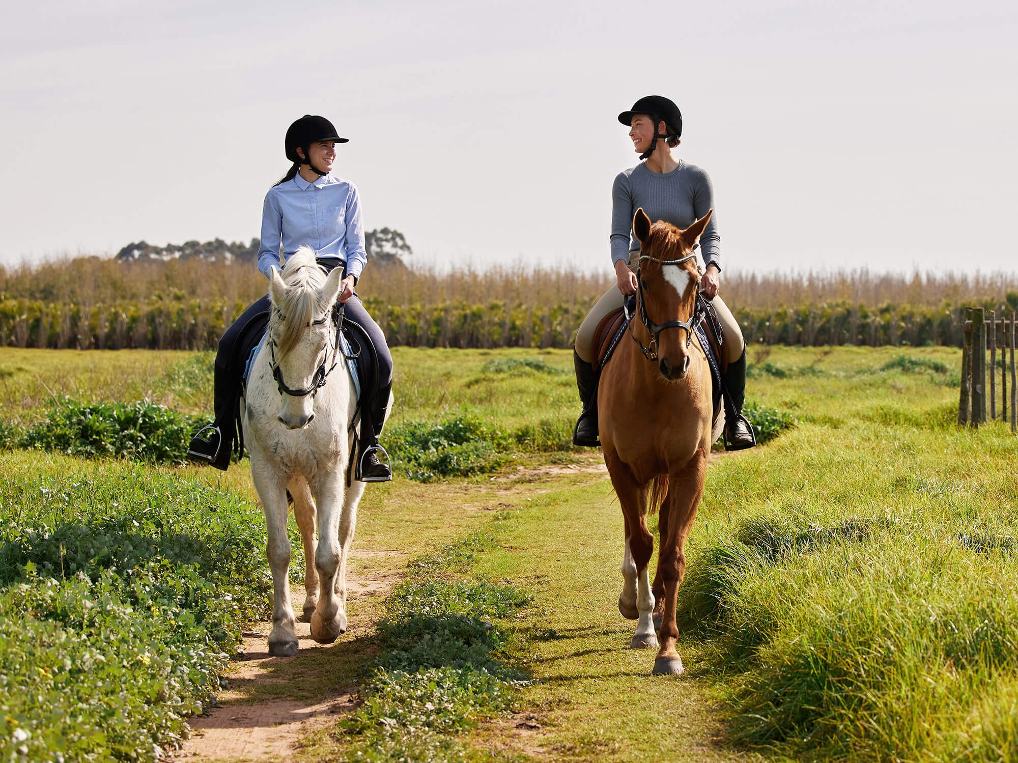 Ziel ist es, den Naturpark für Reiterinnen und Reiter ganzheitlich erlebbar und attraktiv zu machen. Foto: iStock/Peopleimages