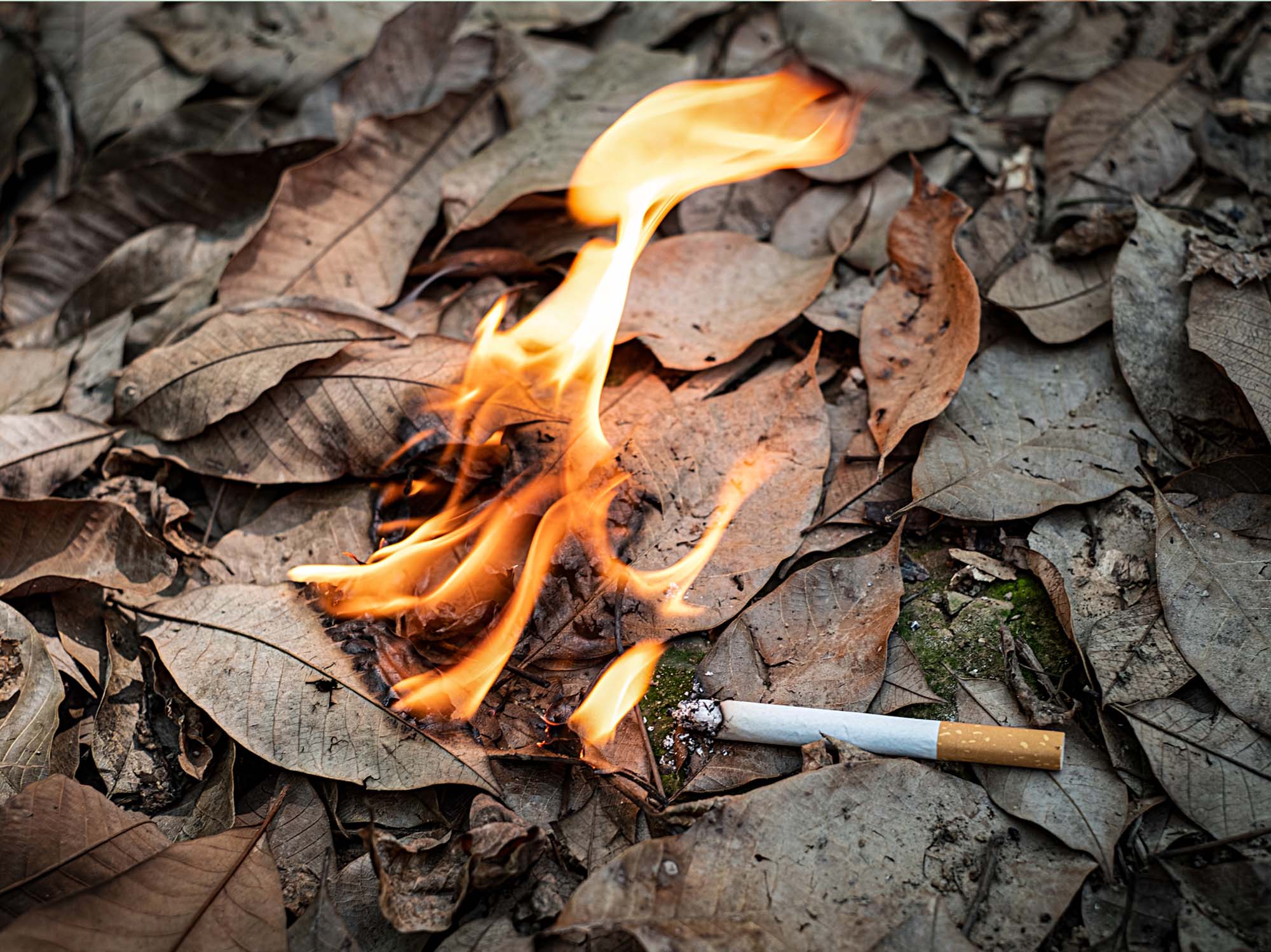 Eine weggeworfene Zigarette löst einen Brand im Laub aus